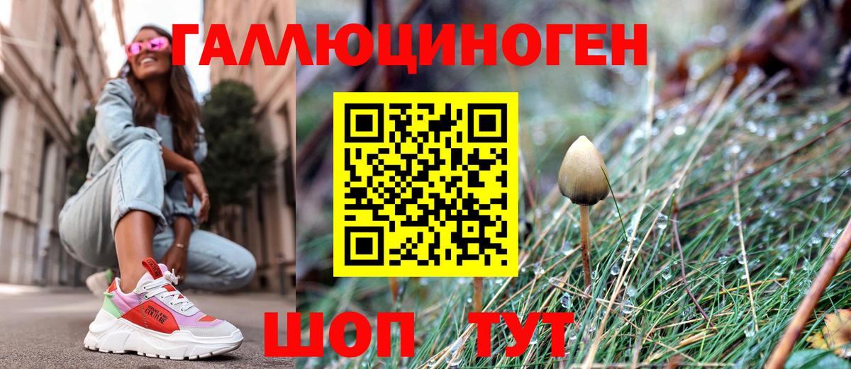 Назрань  Галлюциногенные грибы GOLDEN TEACHER  Вход с VPN  Псилоцибиновые грибы Cubensis 