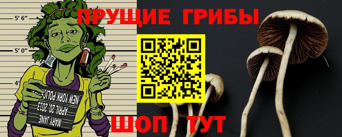 Псилоцибиновые грибы прущие грибы Назрань